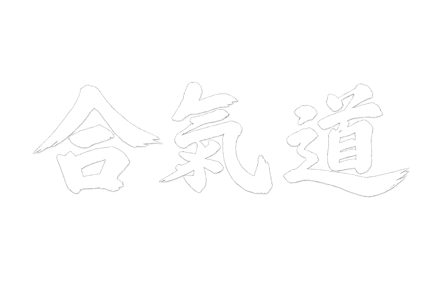 Centro de Difusion del Aikido Argentina